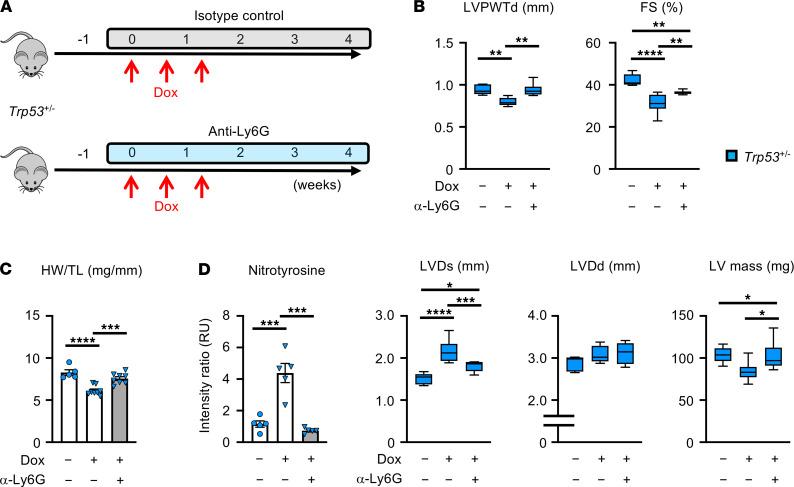 https://cdn.ncbi.nlm.nih.gov/pmc/blobs/14f9/8410064/04d437111c9e/jciinsight-6-146076-g101.jpg