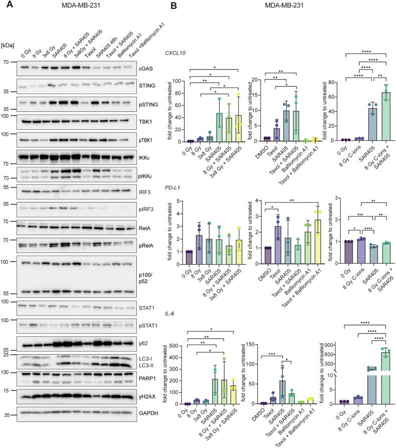 https://cdn.ncbi.nlm.nih.gov/pmc/blobs/14fa/12280211/7db545e51580/41419_2025_7873_Fig4_HTML.jpg