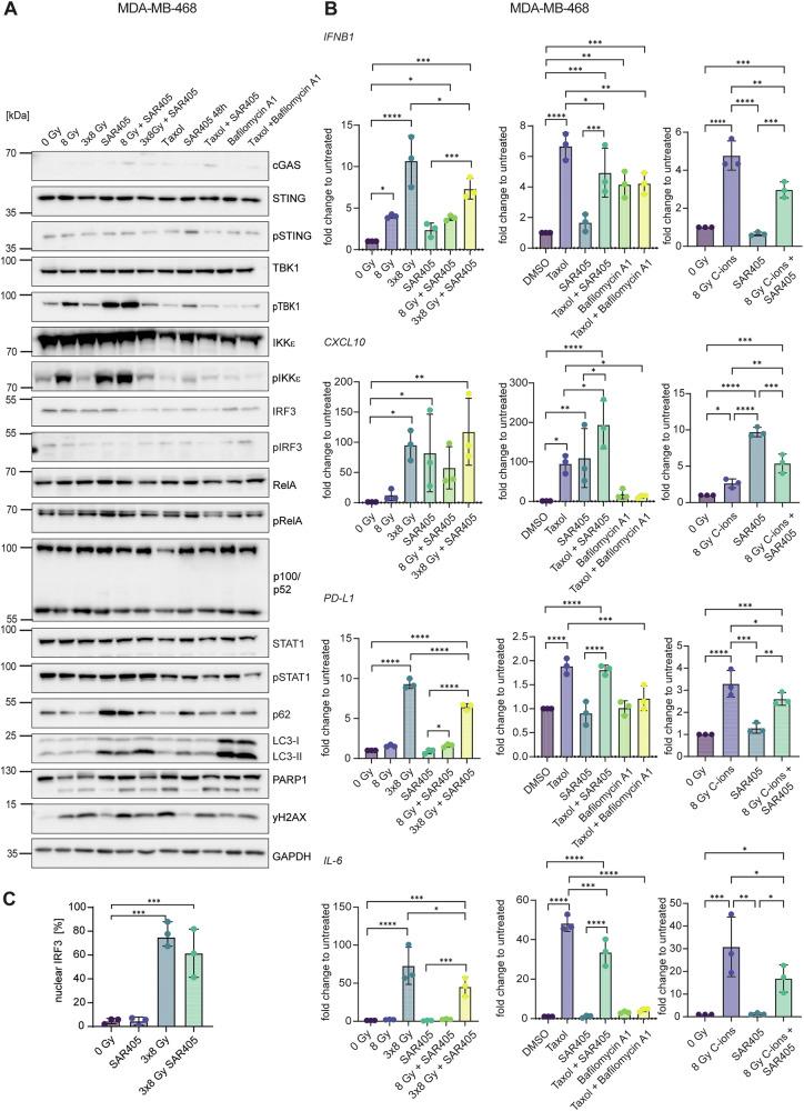 https://cdn.ncbi.nlm.nih.gov/pmc/blobs/14fa/12280211/94d6c6c8ca1d/41419_2025_7873_Fig2_HTML.jpg
