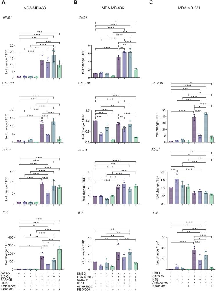 https://cdn.ncbi.nlm.nih.gov/pmc/blobs/14fa/12280211/a2405bfddb29/41419_2025_7873_Fig6_HTML.jpg