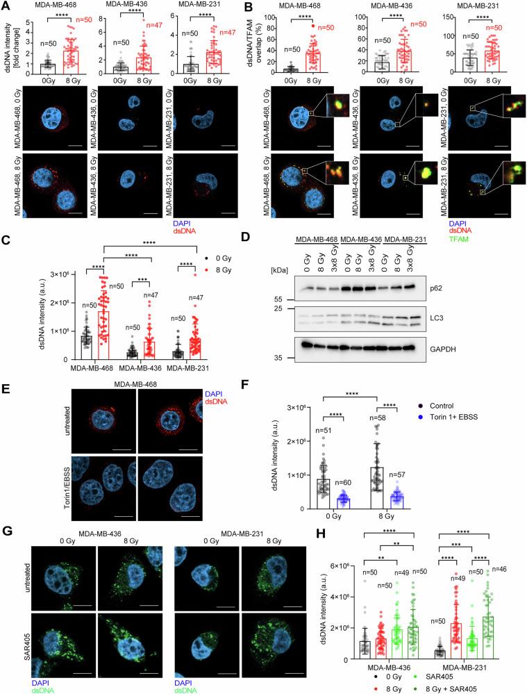 https://cdn.ncbi.nlm.nih.gov/pmc/blobs/14fa/12280211/d18b9f93aac3/41419_2025_7873_Fig1_HTML.jpg