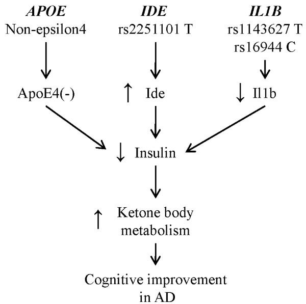 https://cdn.ncbi.nlm.nih.gov/pmc/blobs/14fc/3213220/fa4657171be6/1471-2350-12-137-3.jpg