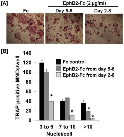 https://cdn.ncbi.nlm.nih.gov/pmc/blobs/14fc/3293909/48e09b43ada9/pone.0032887.g002.jpg
