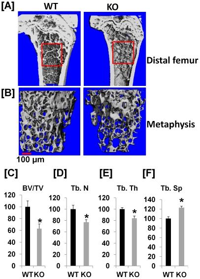 https://cdn.ncbi.nlm.nih.gov/pmc/blobs/14fc/3293909/ce9fd3a0a893/pone.0032887.g004.jpg