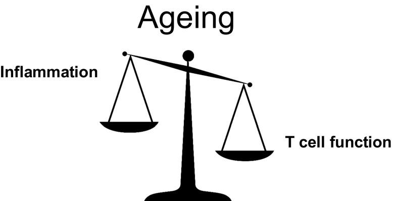https://cdn.ncbi.nlm.nih.gov/pmc/blobs/14fc/5984649/744e9e0d844a/394_2018_1723_Fig5_HTML.jpg