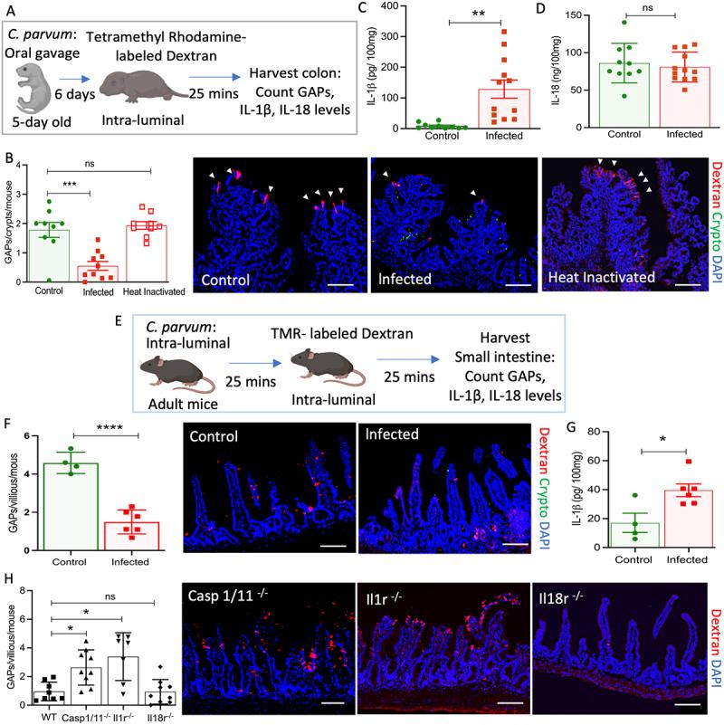 https://cdn.ncbi.nlm.nih.gov/pmc/blobs/14fe/12396125/6d7a76568d40/KGMI_A_2551115_F0003_OC.jpg