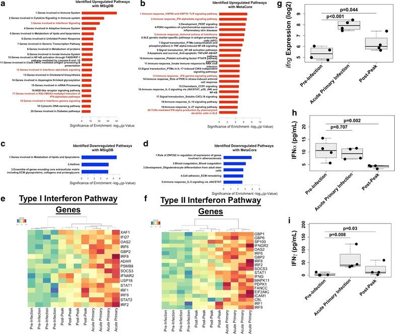 https://cdn.ncbi.nlm.nih.gov/pmc/blobs/14fe/5610412/07c3fc845c0e/12936_2017_2029_Fig3_HTML.jpg