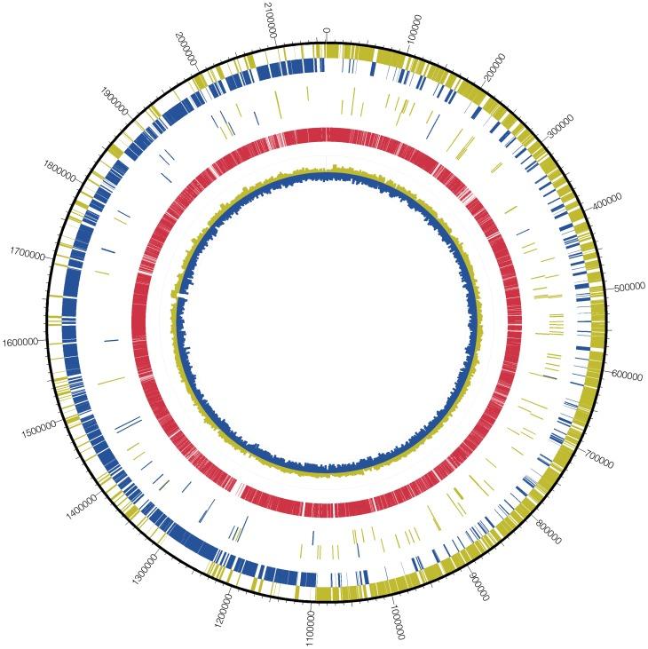 https://cdn.ncbi.nlm.nih.gov/pmc/blobs/1500/3395615/c3058fc95ec7/ppat.1002788.g001.jpg