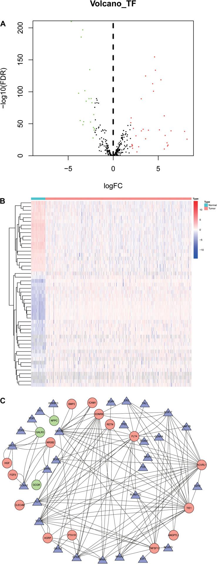 https://cdn.ncbi.nlm.nih.gov/pmc/blobs/1500/7485220/350c87e340d3/fgene-11-00978-g006.jpg