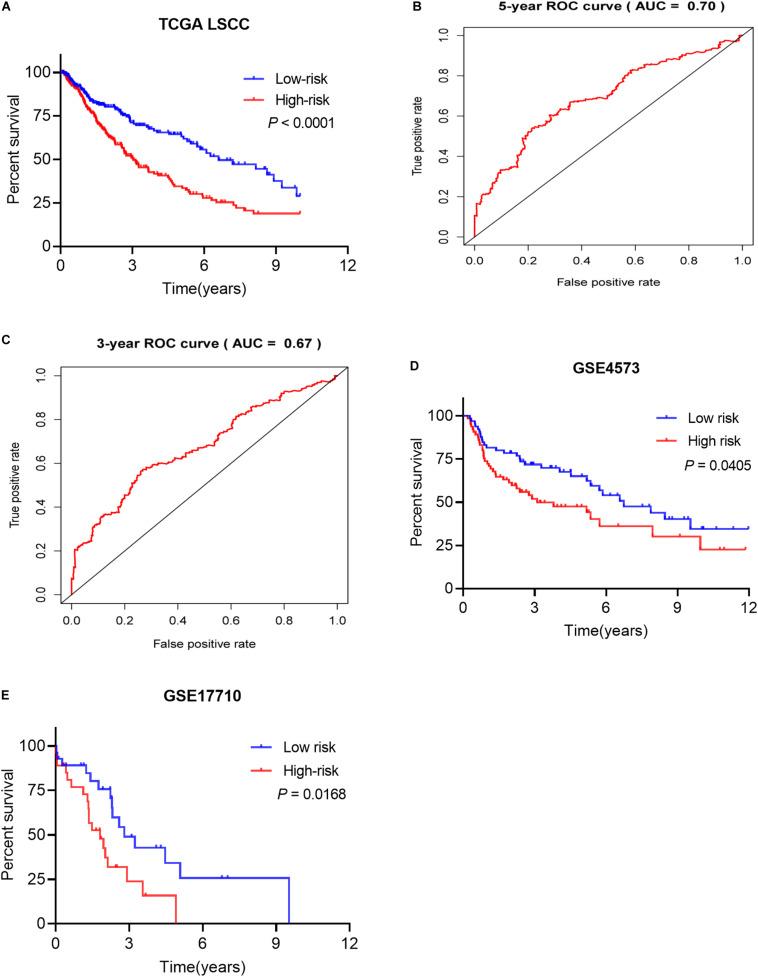 https://cdn.ncbi.nlm.nih.gov/pmc/blobs/1500/7485220/46561408f77b/fgene-11-00978-g008.jpg