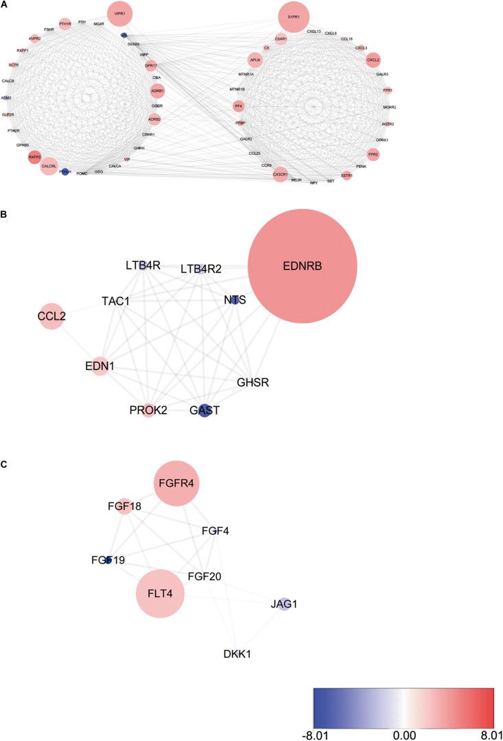 https://cdn.ncbi.nlm.nih.gov/pmc/blobs/1500/7485220/8ef080982302/fgene-11-00978-g004.jpg