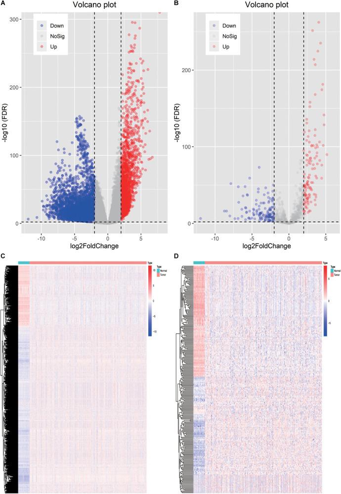https://cdn.ncbi.nlm.nih.gov/pmc/blobs/1500/7485220/d04043814f02/fgene-11-00978-g001.jpg
