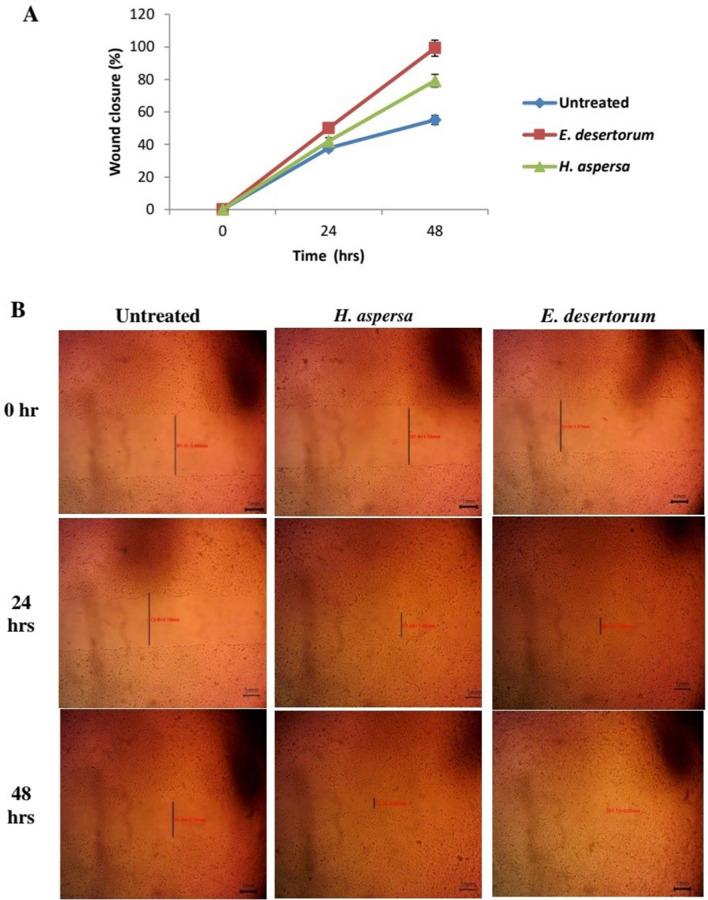 https://cdn.ncbi.nlm.nih.gov/pmc/blobs/1502/8692597/60f0ef760fec/41598_2021_3664_Fig4_HTML.jpg