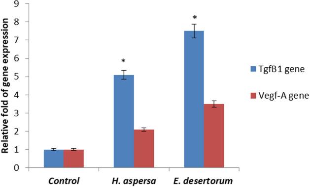 https://cdn.ncbi.nlm.nih.gov/pmc/blobs/1502/8692597/b3b039f7fe0e/41598_2021_3664_Fig5_HTML.jpg