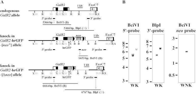 https://cdn.ncbi.nlm.nih.gov/pmc/blobs/1504/4604734/a5b34557bc94/gr2.jpg
