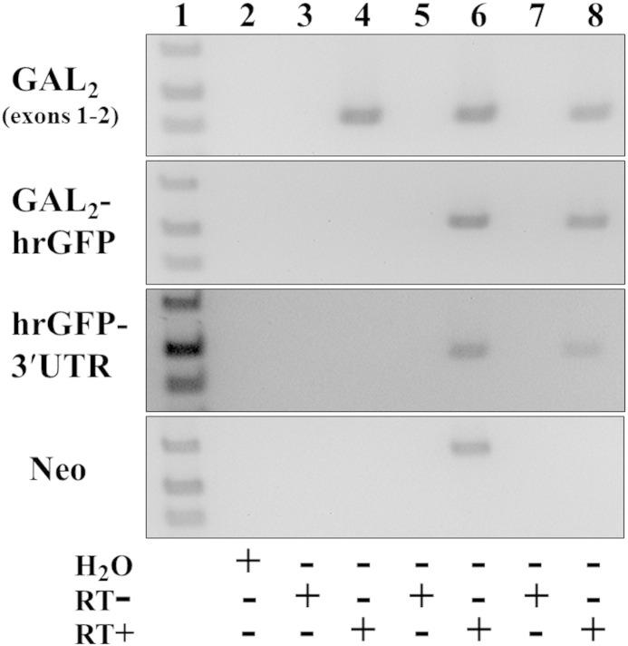 https://cdn.ncbi.nlm.nih.gov/pmc/blobs/1504/4604734/c0a62d109815/gr12.jpg