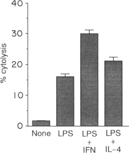 https://cdn.ncbi.nlm.nih.gov/pmc/blobs/1505/1422257/81f3a75eb79e/immunology00091-0112-a.jpg