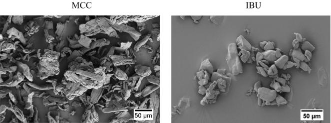 https://cdn.ncbi.nlm.nih.gov/pmc/blobs/1505/8327351/e670730bdccf/gr1.jpg