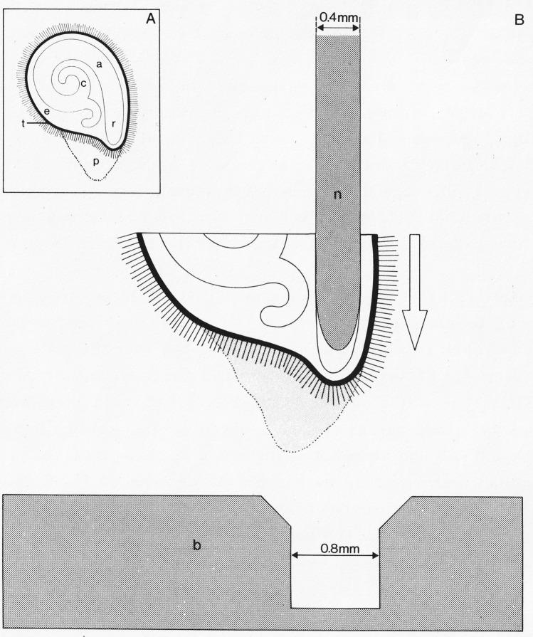 https://cdn.ncbi.nlm.nih.gov/pmc/blobs/1506/12031936/a98ce394c564/425_2025_4699_Fig2_HTML.jpg