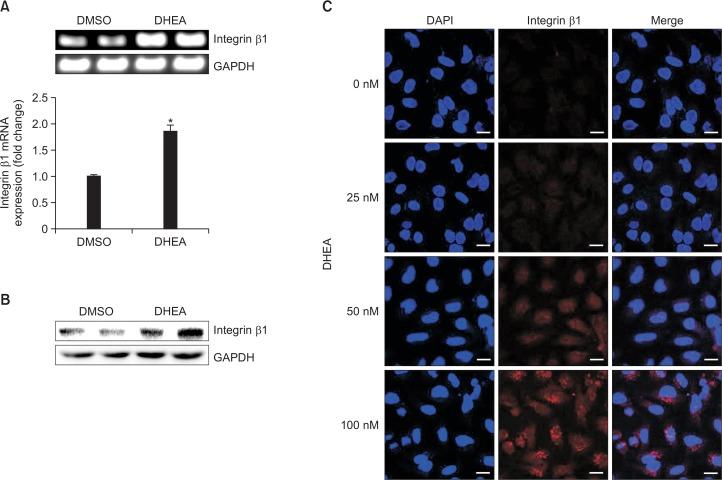 https://cdn.ncbi.nlm.nih.gov/pmc/blobs/1506/5424643/bea5dcd64ac6/bt-25-321f2.jpg