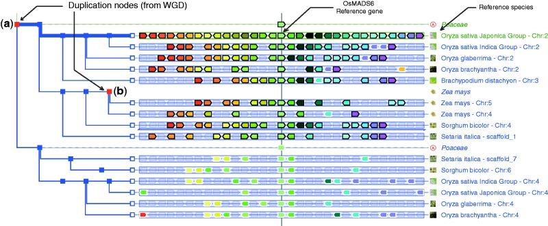 https://cdn.ncbi.nlm.nih.gov/pmc/blobs/150a/3531091/54d6a1d00c8d/gks1156f2p.jpg