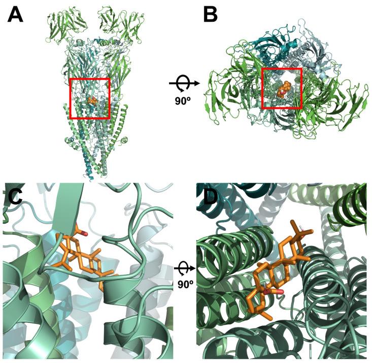 https://cdn.ncbi.nlm.nih.gov/pmc/blobs/150c/8125762/dd2217ee40ad/molecules-26-02659-g003.jpg