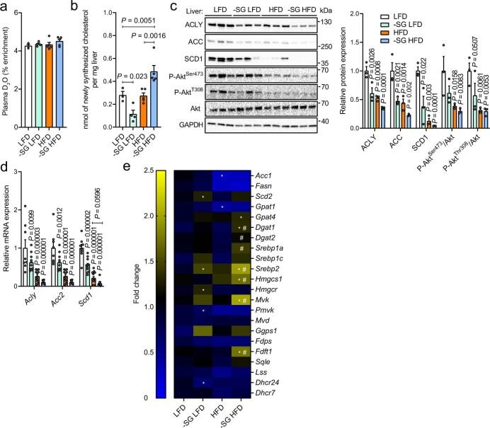 https://cdn.ncbi.nlm.nih.gov/pmc/blobs/150c/9891999/c84b8bc955a1/41586_2022_5637_Fig9_ESM.jpg