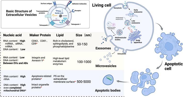 https://cdn.ncbi.nlm.nih.gov/pmc/blobs/150f/12008682/3d65a2051896/gr1.jpg