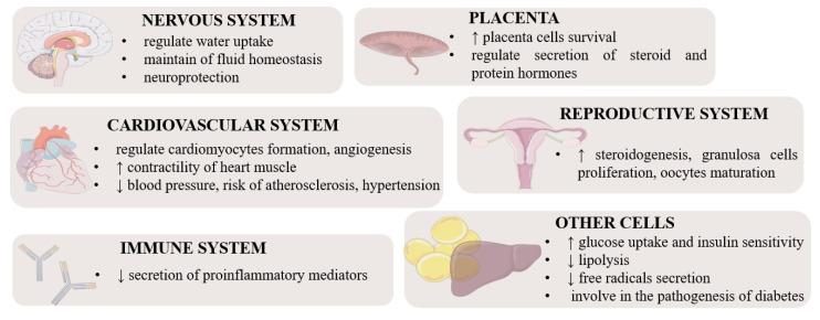 https://cdn.ncbi.nlm.nih.gov/pmc/blobs/150f/9818302/4a32bed98fb2/cells-12-00150-g002.jpg