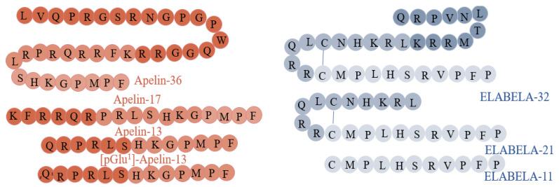 https://cdn.ncbi.nlm.nih.gov/pmc/blobs/150f/9818302/7265d57c192a/cells-12-00150-g001.jpg