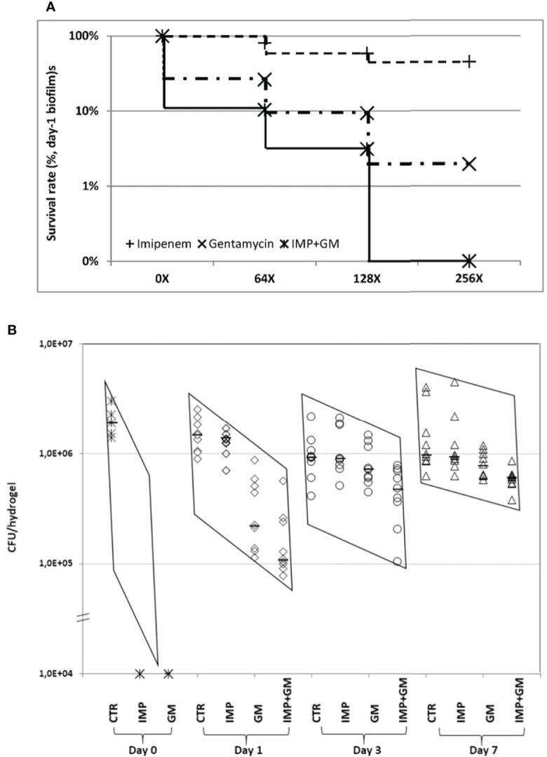 https://cdn.ncbi.nlm.nih.gov/pmc/blobs/1512/9362844/83185239ffd6/fcimb-12-826450-g004.jpg
