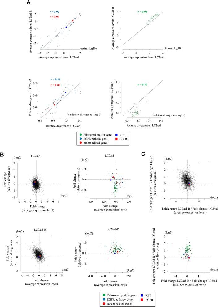 https://cdn.ncbi.nlm.nih.gov/pmc/blobs/1514/4450998/e57b80494210/13059_2015_636_Fig5_HTML.jpg