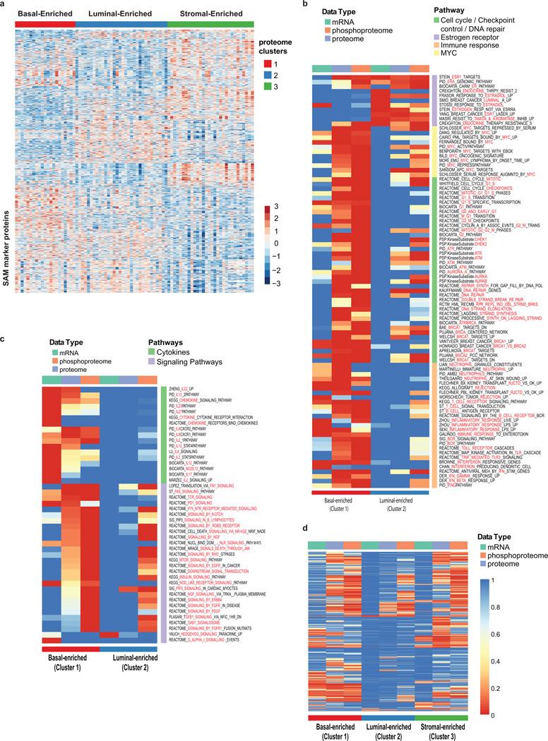 https://cdn.ncbi.nlm.nih.gov/pmc/blobs/1514/5102256/3a75b319c447/nihms778057f11.jpg