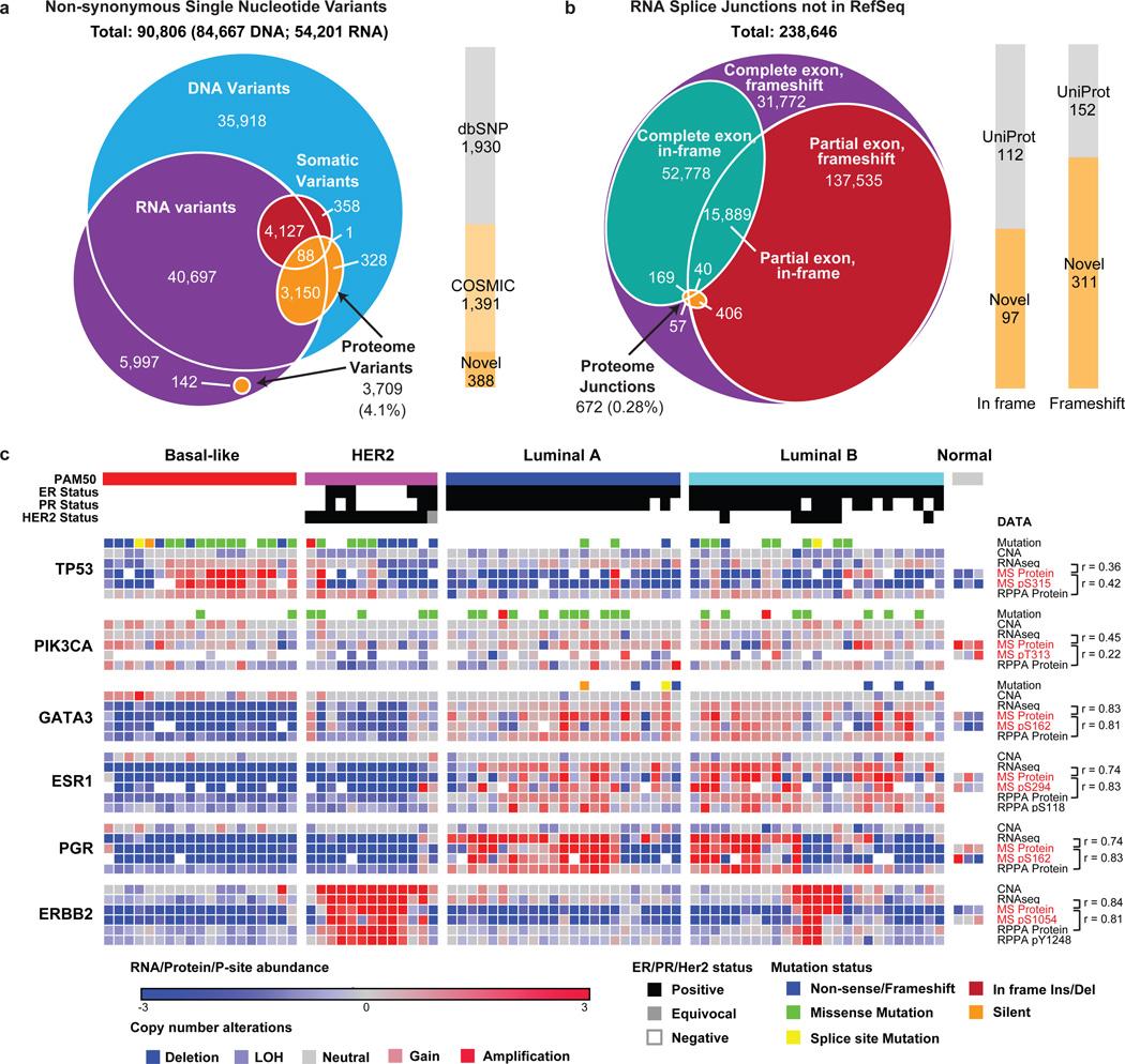 https://cdn.ncbi.nlm.nih.gov/pmc/blobs/1514/5102256/56c5e193812e/nihms778057f1.jpg