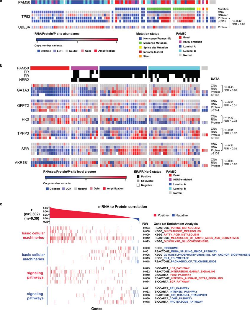https://cdn.ncbi.nlm.nih.gov/pmc/blobs/1514/5102256/7986e5d6b94c/nihms778057f8.jpg