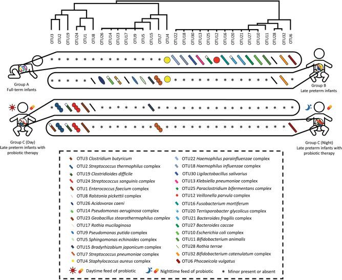 https://cdn.ncbi.nlm.nih.gov/pmc/blobs/1515/10618524/bfbae9f8a7c2/41598_2023_45586_Fig5_HTML.jpg