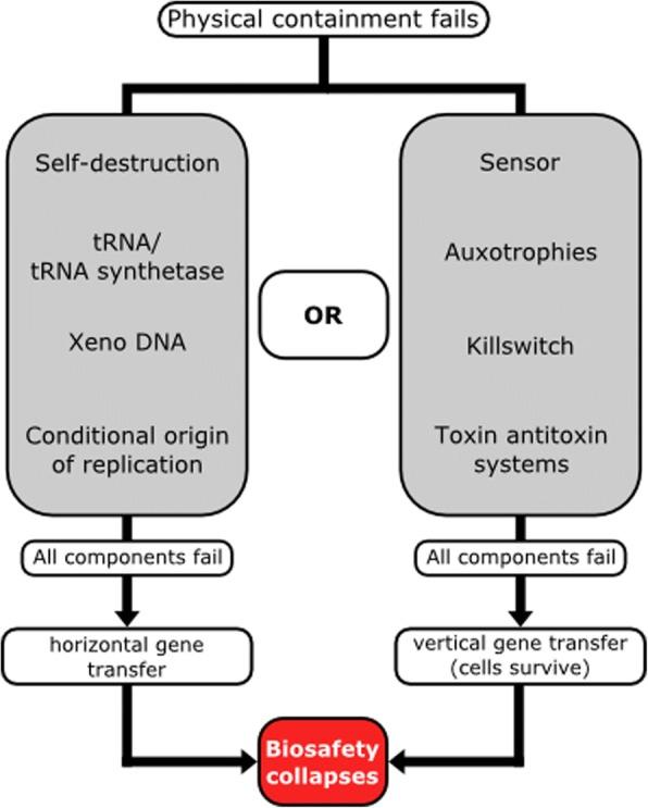 https://cdn.ncbi.nlm.nih.gov/pmc/blobs/1516/6090650/58b23c90ce5d/13036_2018_105_Fig3_HTML.jpg