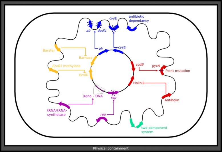 https://cdn.ncbi.nlm.nih.gov/pmc/blobs/1516/6090650/ea12daf0e0c0/13036_2018_105_Fig4_HTML.jpg