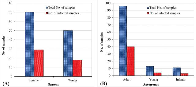 https://cdn.ncbi.nlm.nih.gov/pmc/blobs/1517/10787631/b33c7484d1b4/j_helm-2023-0037_fig_003.jpg
