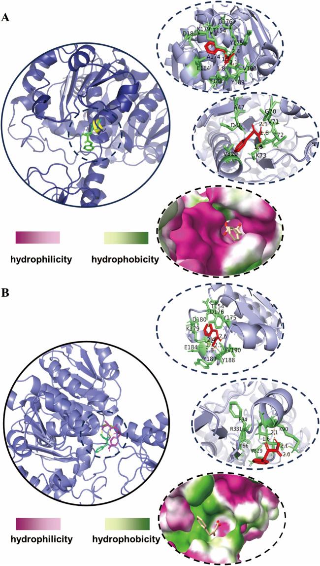 https://cdn.ncbi.nlm.nih.gov/pmc/blobs/1519/11449890/a09203f71868/fbioe-12-1470830-g003.jpg