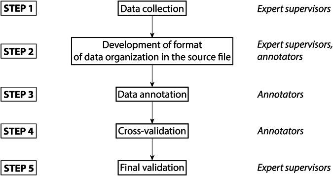 https://cdn.ncbi.nlm.nih.gov/pmc/blobs/1519/11655836/8c75acb0f815/41597_2024_4190_Fig2_HTML.jpg