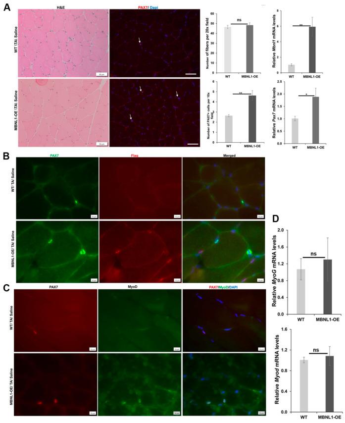 https://cdn.ncbi.nlm.nih.gov/pmc/blobs/151b/10931579/c9e45914a8a4/ijms-25-02687-g006.jpg