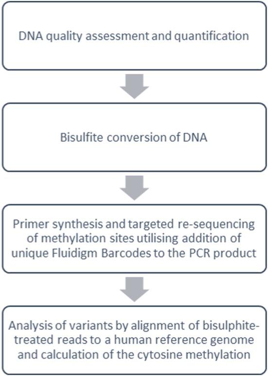 https://cdn.ncbi.nlm.nih.gov/pmc/blobs/151b/5943505/570a643a6104/fimmu-09-00907-g003.jpg