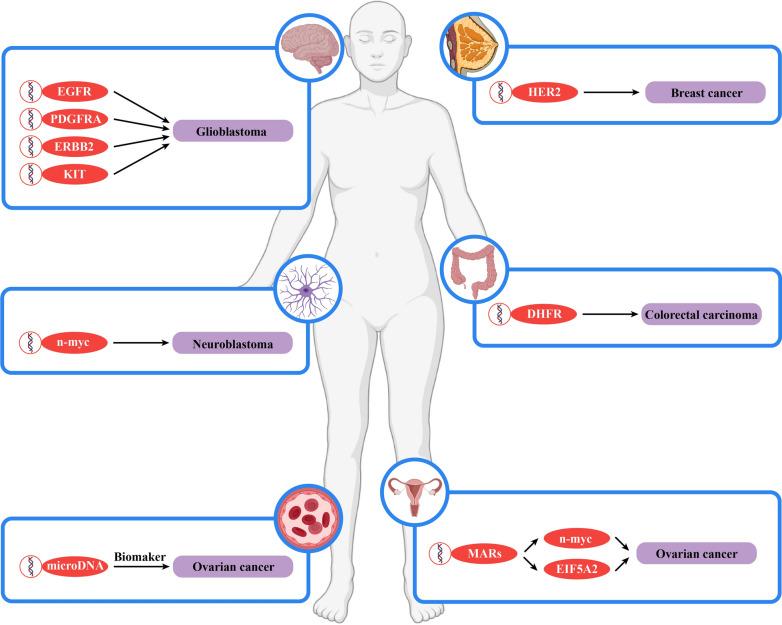 https://cdn.ncbi.nlm.nih.gov/pmc/blobs/151d/8194206/53bebf70ac18/12967_2021_2927_Fig3_HTML.jpg