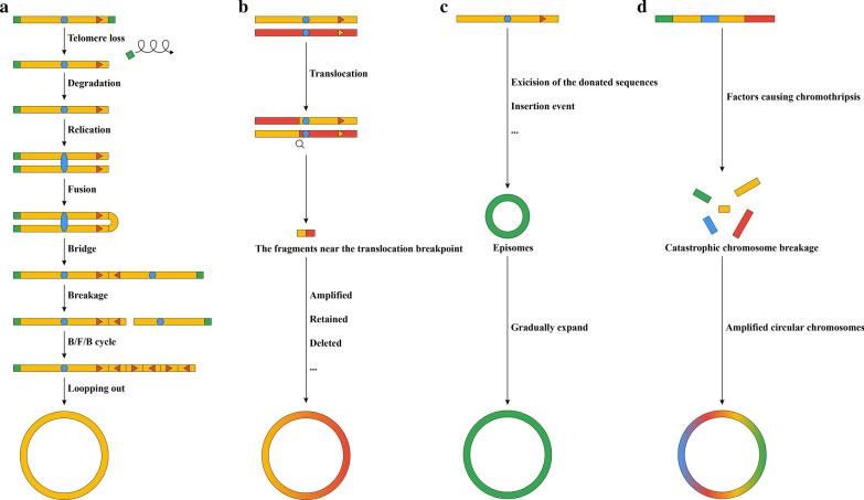 https://cdn.ncbi.nlm.nih.gov/pmc/blobs/151d/8194206/b6b23080859a/12967_2021_2927_Fig1_HTML.jpg