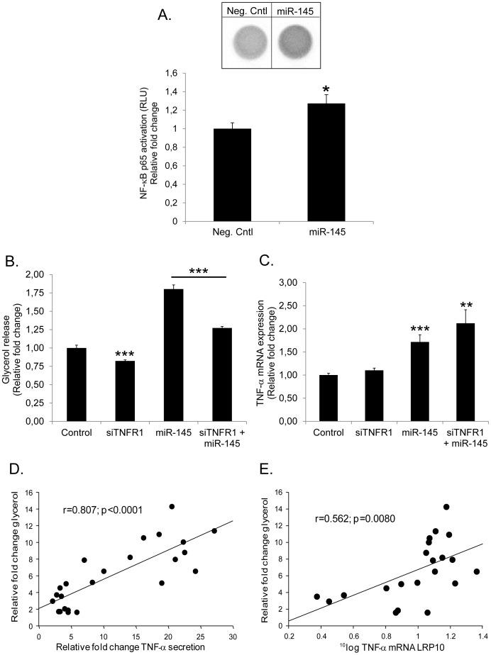 https://cdn.ncbi.nlm.nih.gov/pmc/blobs/151f/3901697/608666c7aa79/pone.0086800.g002.jpg