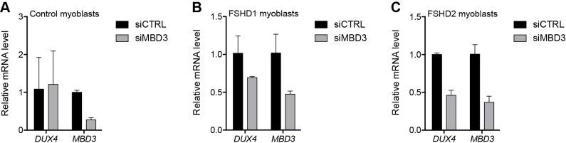 https://cdn.ncbi.nlm.nih.gov/pmc/blobs/1521/5849414/46794a37cba4/elife-31023-fig2-figsupp6.jpg