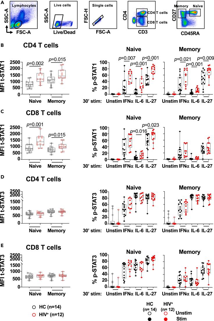 https://cdn.ncbi.nlm.nih.gov/pmc/blobs/1521/8717455/3993692640a1/gr1.jpg