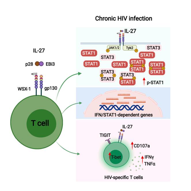 https://cdn.ncbi.nlm.nih.gov/pmc/blobs/1521/8717455/42e85130eb7d/fx1.jpg