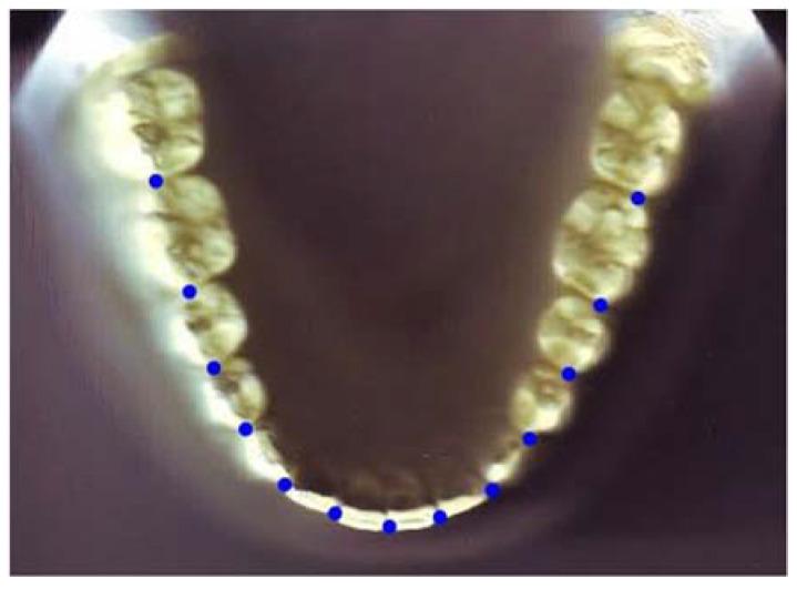 https://cdn.ncbi.nlm.nih.gov/pmc/blobs/1526/9600372/5b21629ff383/diagnostics-12-02352-g001.jpg
